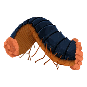 Decimillipede