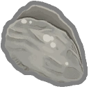 Nutritious Oyster
